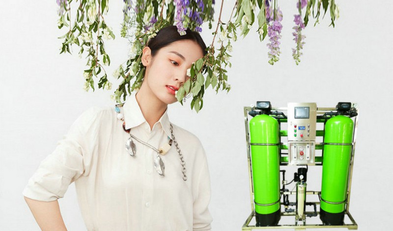 長(zhǎng)春豆制品廠專用純凈水設(shè)備