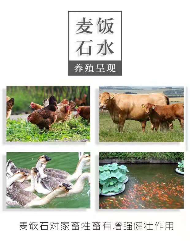 2019_沈陽(yáng)凈水設(shè)備_新款推出