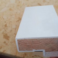 木質(zhì)防火門，河北防火門,生產(chǎn)防火門，閬閬防火門