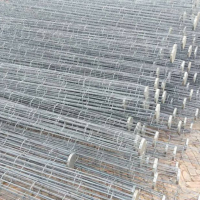 定做供應(yīng)除塵濾袋骨架 噴塑除塵器袋籠 結(jié)構(gòu)穩(wěn)定 使用壽命長